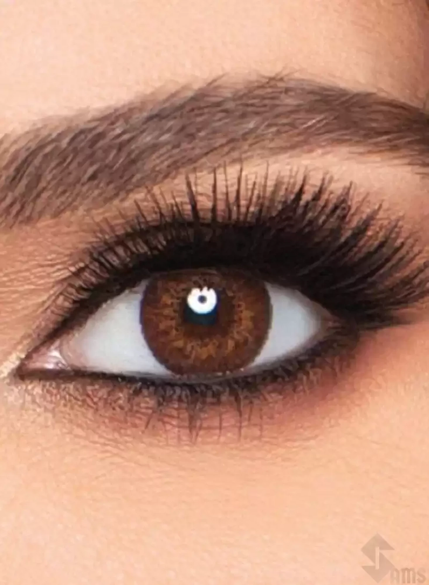 Freshlook Contact Lenses brown.webp